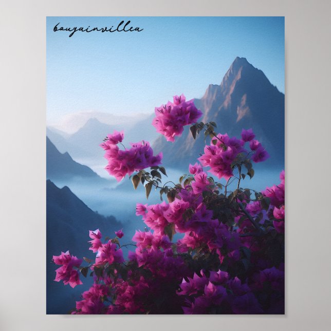 bougainvillea nature blue sky  poster (Front)