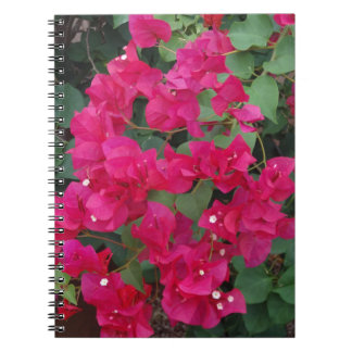 Bougainvillea Notebook