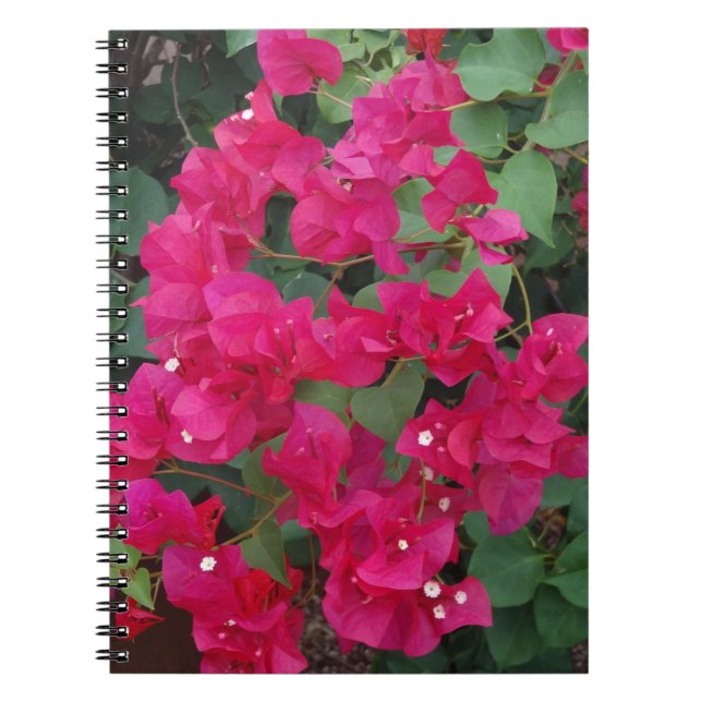 Bougainvillea Notebook (Front)