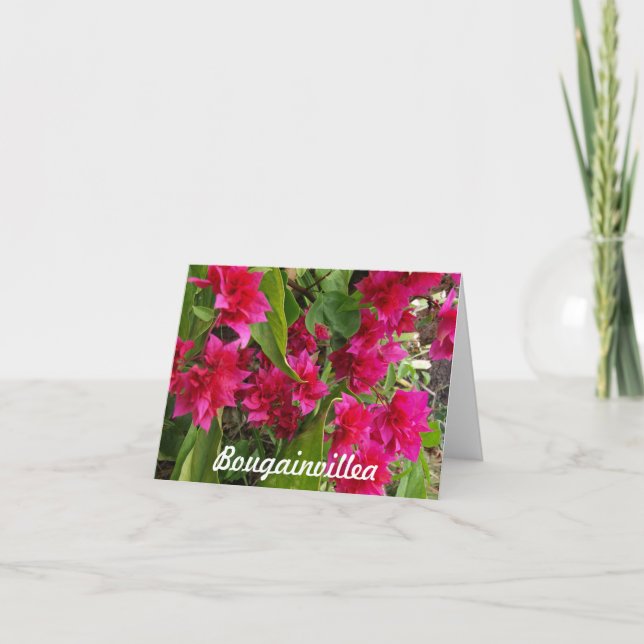 Bougainvillea Notecards (Front)