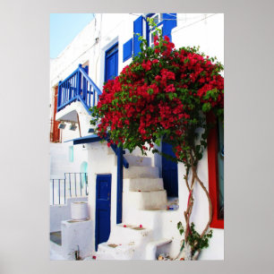 Bougainvillea  outside a house, Greece  POSTER