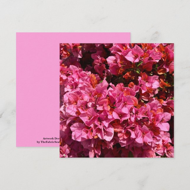 Bougainvillea Pink Tropical Vining Shrub Photo  Card (Front/Back)