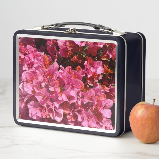 Bougainvillea Pink Tropical Vining Shrub Photo Metal Lunch Box (In Situ)