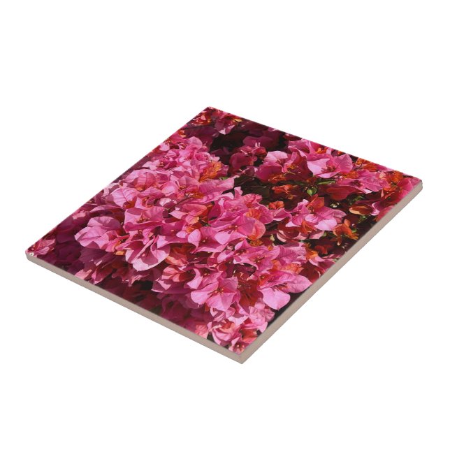 Bougainvillea Pink Tropical Vining Shrub Photo Tile (Side)