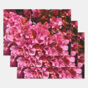 Bougainvillea Pink Tropical Vining Shrub Photo  Wrapping Paper Sheet