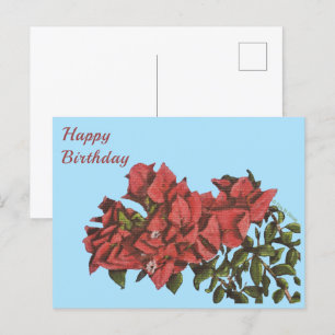 Bougainvillea Postcard