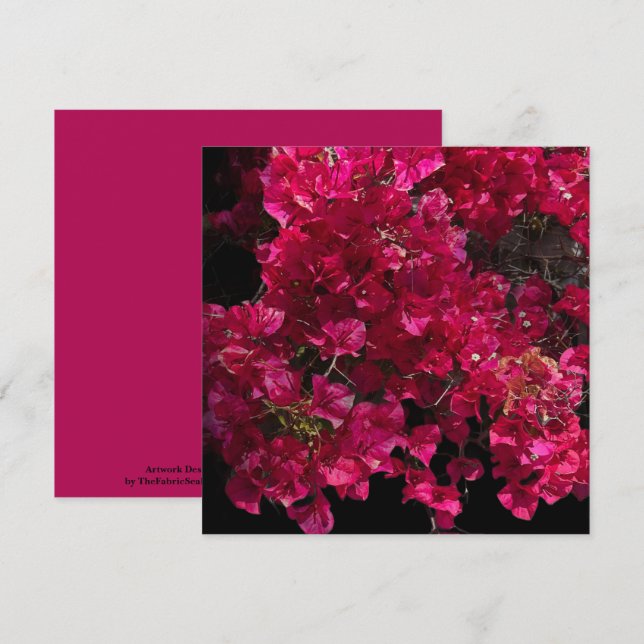 Bougainvillea Red Tropical Vining Shrub Photo  Card (Front/Back)