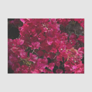 Bougainvillea Red Tropical Vining Shrub Photo Tissue Paper