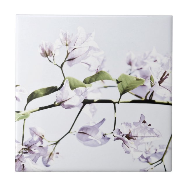 Bougainvillea Tile (Front)