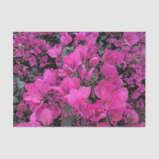 Bougainvillea Tissue Paper (Front)