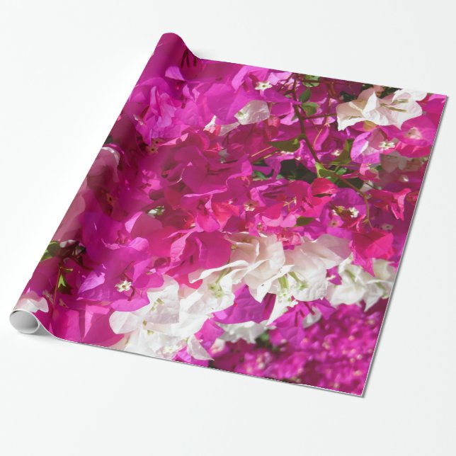 Bougainvillea Wrapping Paper (Unrolled)