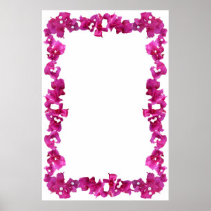 Bouganvilla Border on Blank Background Poster