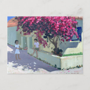 Bouganvillaea Zante 1999 Postcard