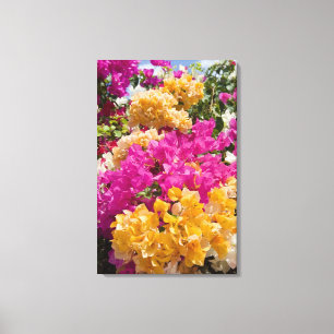 Bouganvilleau, Cayman Brac, Cayman Islands, Canvas Print