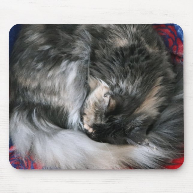 Bouge Kitty Cat Mouse Mat (Front)