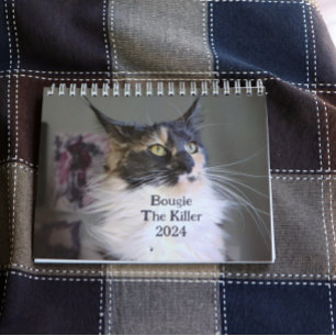 Bougie Dilute Calico Maine Coon Cat Calendar