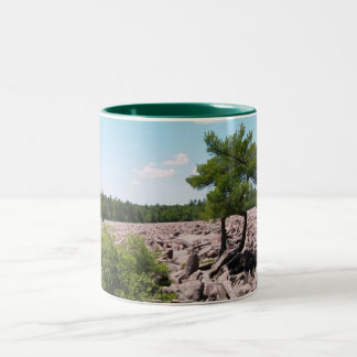 Boulder Field Two-Tone Coffee Mug