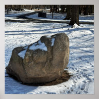 Boulder in Snow Poster