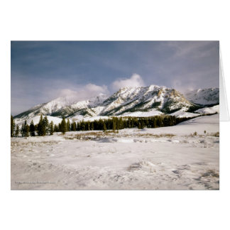 Boulder Mountain View