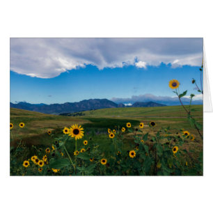 Boulder Summer