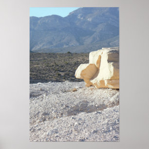 Boulder with Mountains Poster