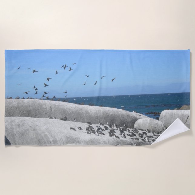 Boulders Beach Penguins & Birds Beach Towel (Front)