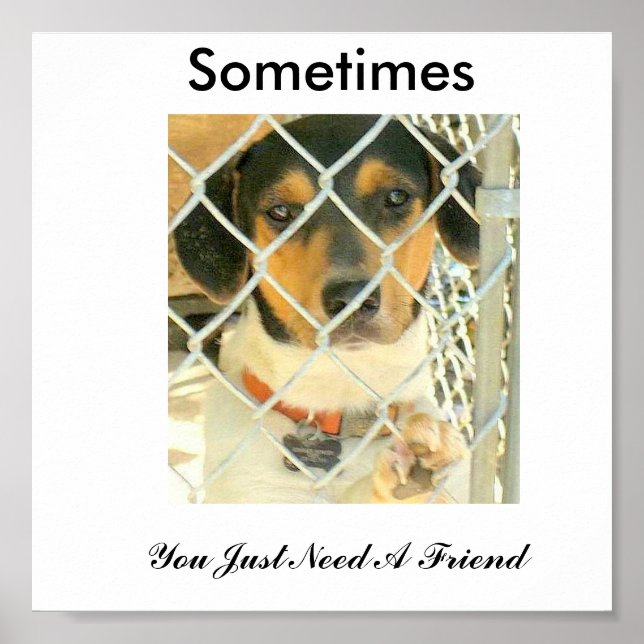 Bouncer Poster (Front)