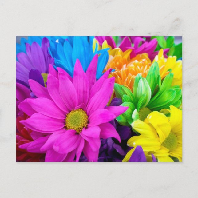 Bountiful Flowers Postcard (Front)