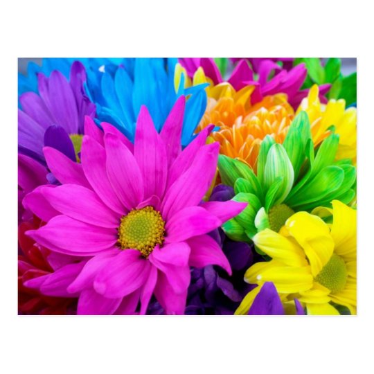 Bountiful Flowers Postcard