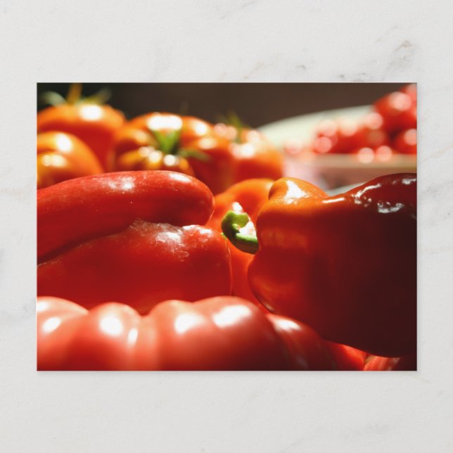 Bountiful Harvest Postcard (Front)