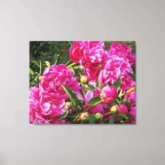 Bountiful peonies canvas print