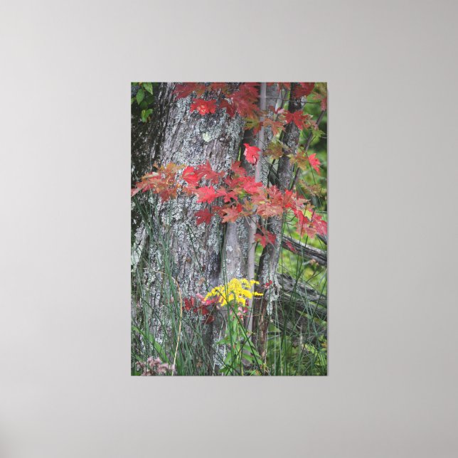Bounty Of Nature Canvas Print (Front)