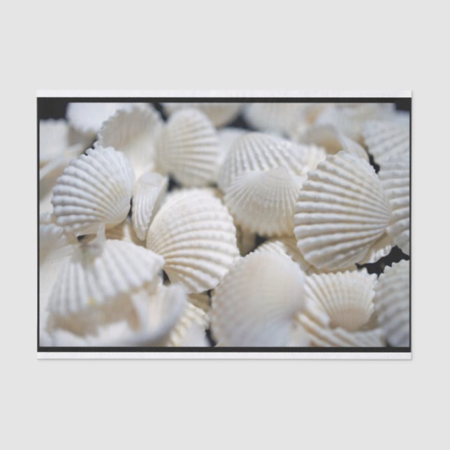 Bounty of Shells Tissue Paper (Front)