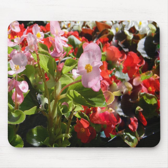Bouquet of Begonias... Mouse Mat (Front)