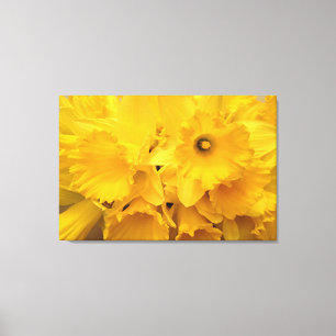 Bouquet of Daffodils Canvas Print