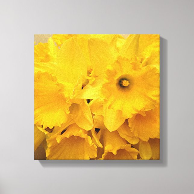 Bouquet of Daffodils Canvas Print (Front)