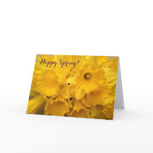 Bouquet of Daffodils Easter