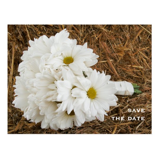 Bouquet of Daisies on a Bale of Hay Save The Date Postcard