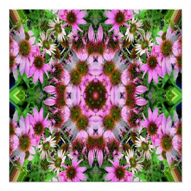 Bouquet of Echanicea... Poster (Front)