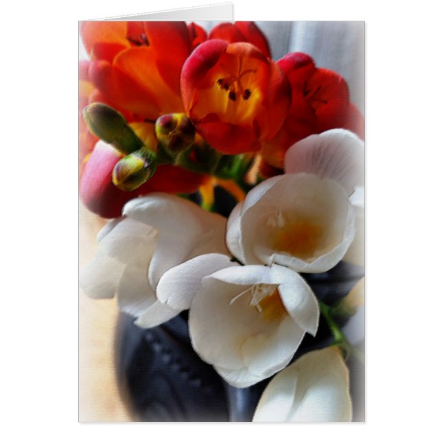 bouquet of freesias (Front)