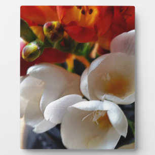 bouquet of freesias plaque