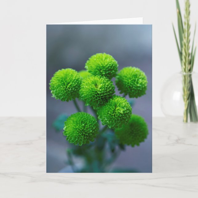 Bouquet of Green Santini Chrysanthemum Flowers Card (Front)