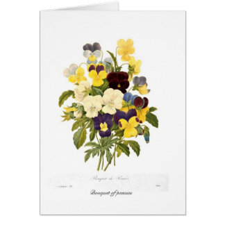 Bouquet of pansies