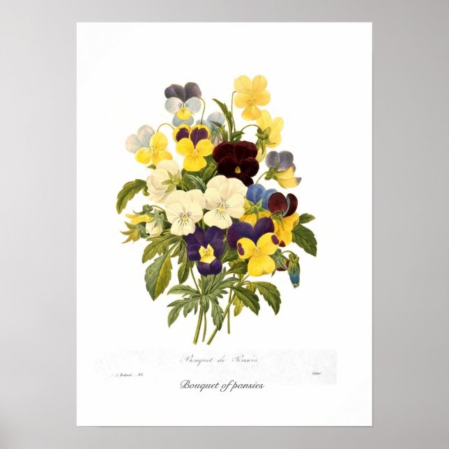 Bouquet of pansies poster (Front)