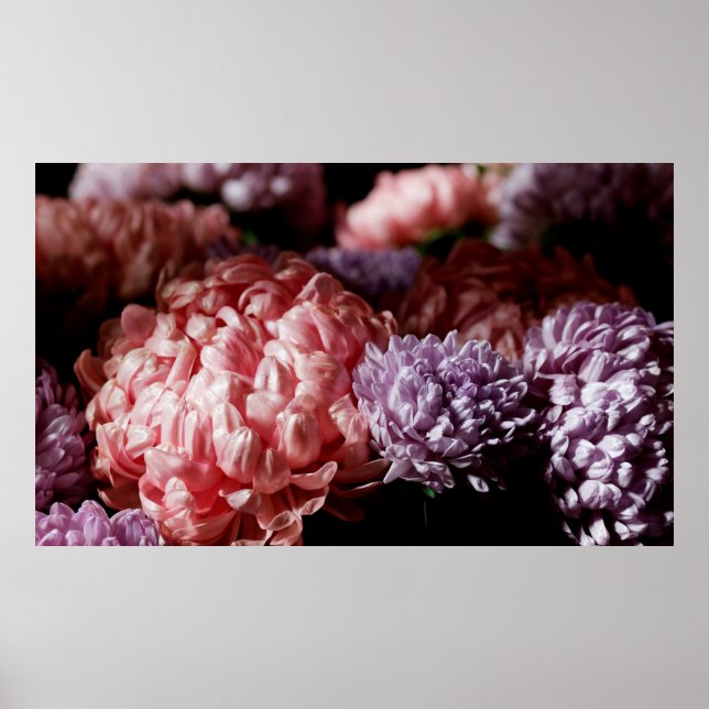 Bouquet of pink with purple aster flowers in light poster (Front)