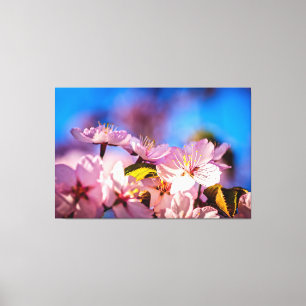 Bouquet Of Sakura Flowers Canvas Print