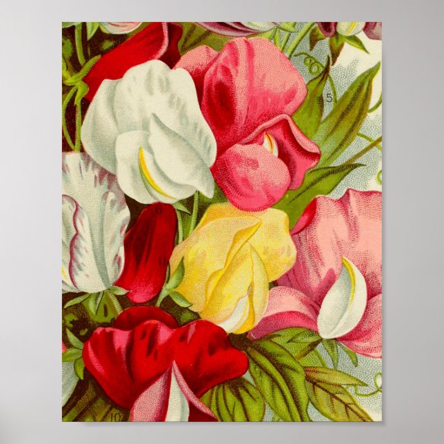 Bouquet of sweet pea flowers trivet poster (Front)