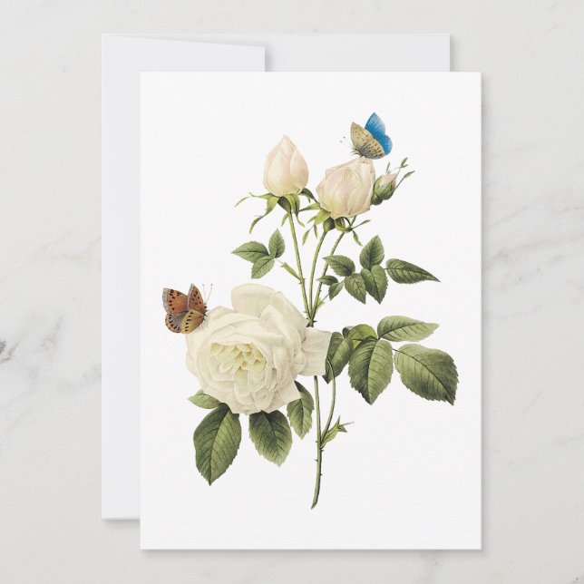 Bouquet of White Roses with Butterflies Invitation (Front)