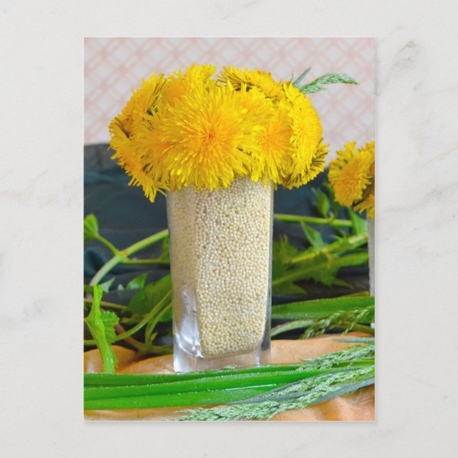 Bouquet of yellow dandelions postcard (Front)