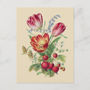 Bouquet - Tulips Postcard